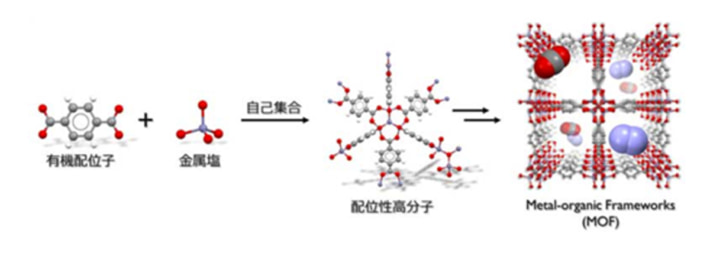 20250220Kline01 710x253 - 川崎汽船／立教学院と研究事業契約 船上CO2回収システム応用へ