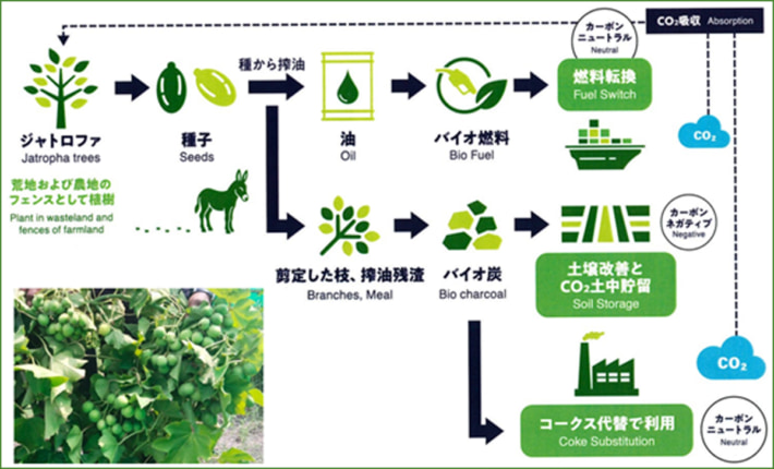 20250708kuribayashi001 710x430 - 栗林商船／アフリカのバイオ燃料サプライチェーン事業化調査に参画