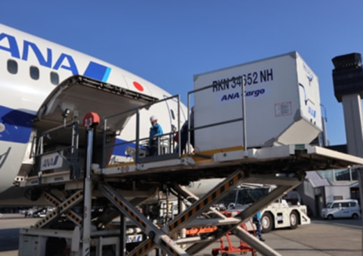 da7b1363b0243319fec65f9a30e080b3 520x367 - ANA、DNPほか／多機能断熱ボックス使用、北海道の牛乳等空輸し沖縄で翌日販売