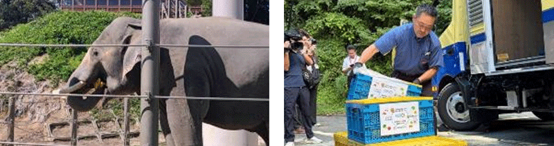 九州西濃運輸/リフェコと連携し、廃棄青果物を福岡市動物園で有効活用 20251010seino - 九州西濃運輸/リフェコと連携し、廃棄青果物を福岡市動物園で有効活用