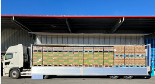 伊藤園と日清シスコ/群馬県~宮城県間の重軽量貨物混載共同輸送を開始 20251031it01 520x282 - 伊藤園と日清シスコ/群馬県~宮城県間の重軽量貨物混載共同輸送を開始