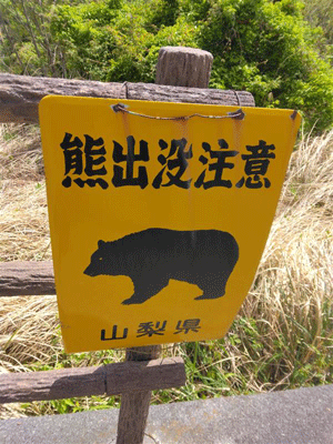 日本郵便/クマ出没で集配業務を見合わせる可能性示唆 20251106yubin - 日本郵便/クマ出没で集配業務を見合わせる可能性示唆