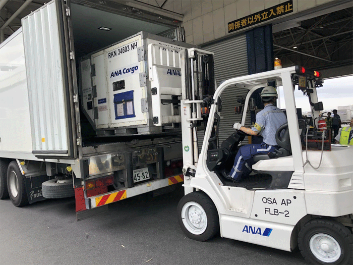 ANAとナッシュ/冷食空輸で新たな協働、最大557円の送料値下げを実現 1201ana1 - ANAとナッシュ/冷食空輸で新たな協働、最大557円の送料値下げを実現