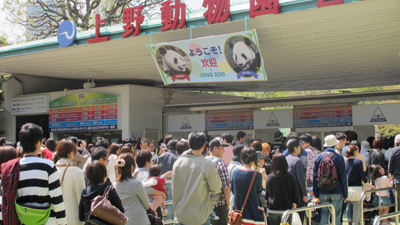 20110426panda1 - 阪急阪神エクスプレス／「パンダを運んだ男達」