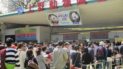 20110426panda1 - ■　パンダを運んだ男達