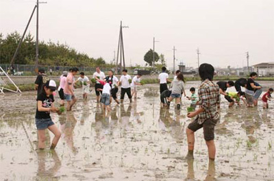 20110510sagawa - SGホールディングス／自然体験学習（田植え体験）を実施